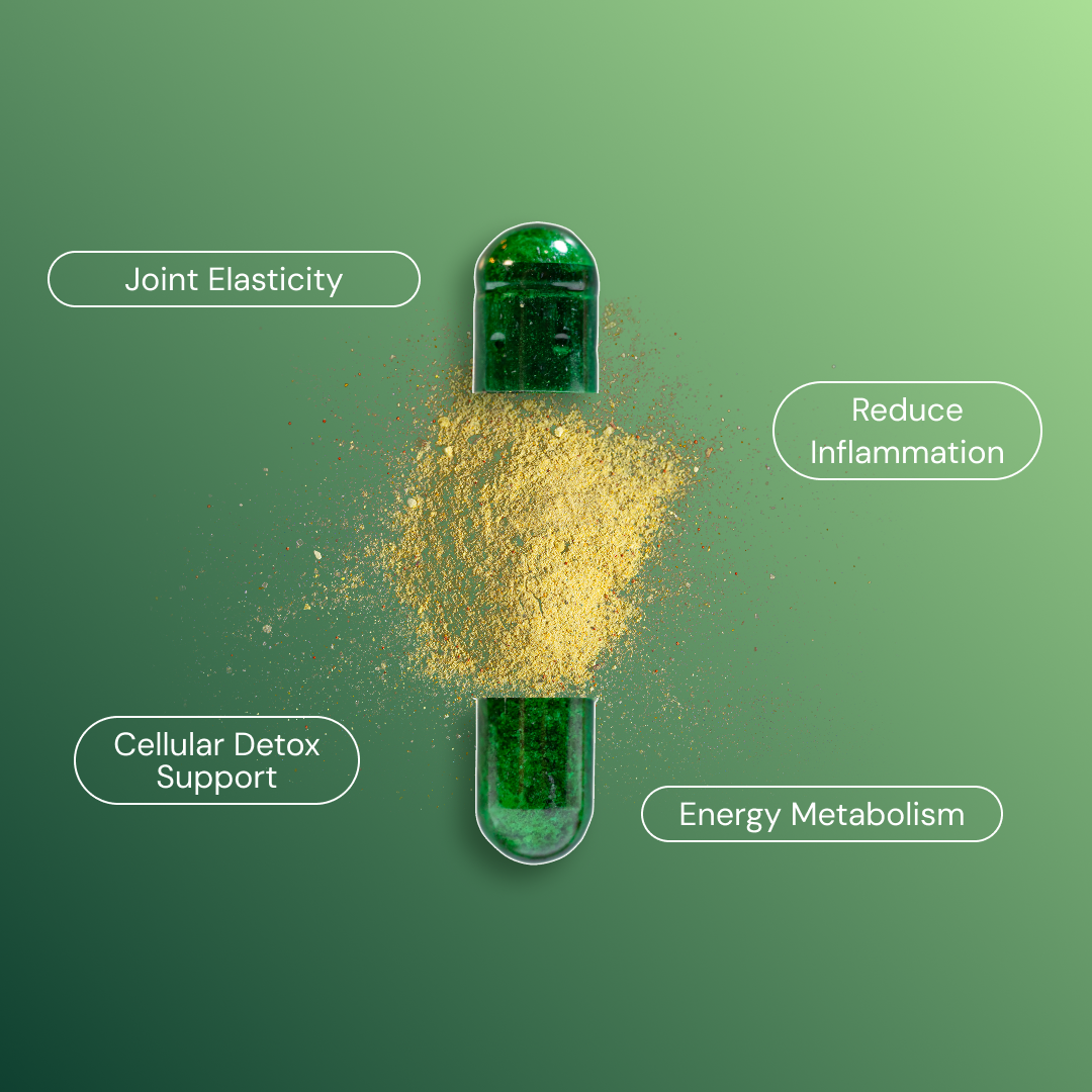 MicroFree Daily Detox