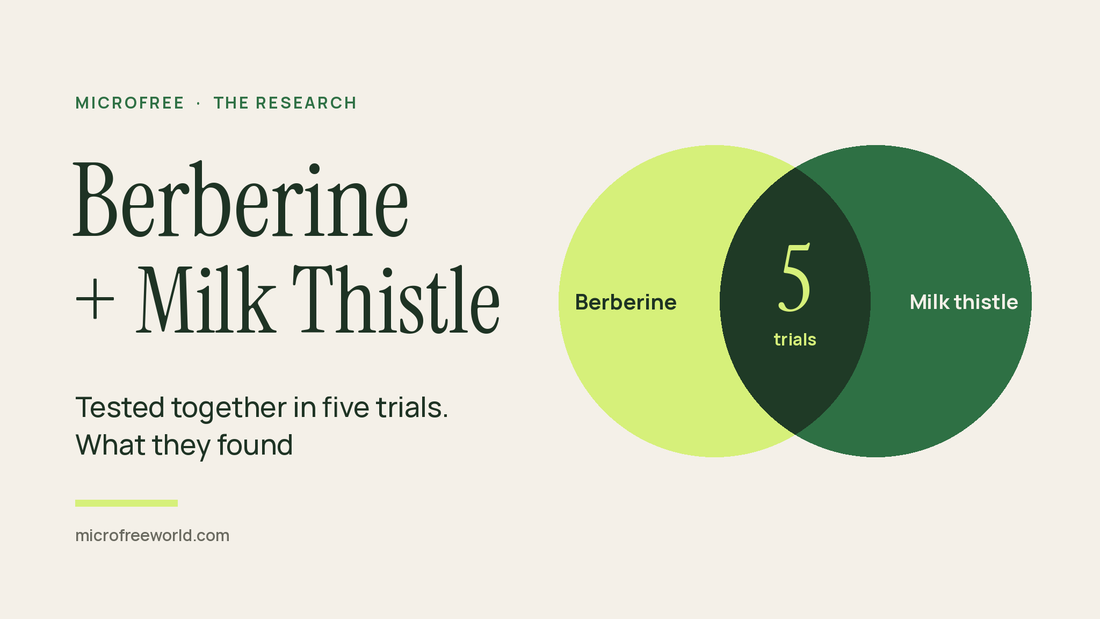Berberine and milk thistle shown as two overlapping circles with the number of trials that tested them together