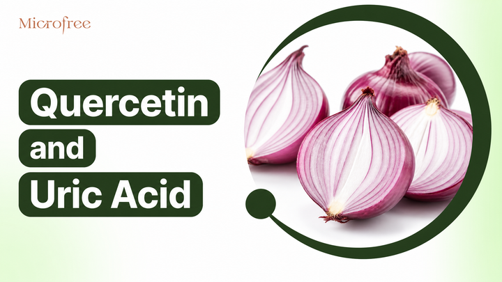 Quercetin and Uric Acid: What the Research Actually Shows