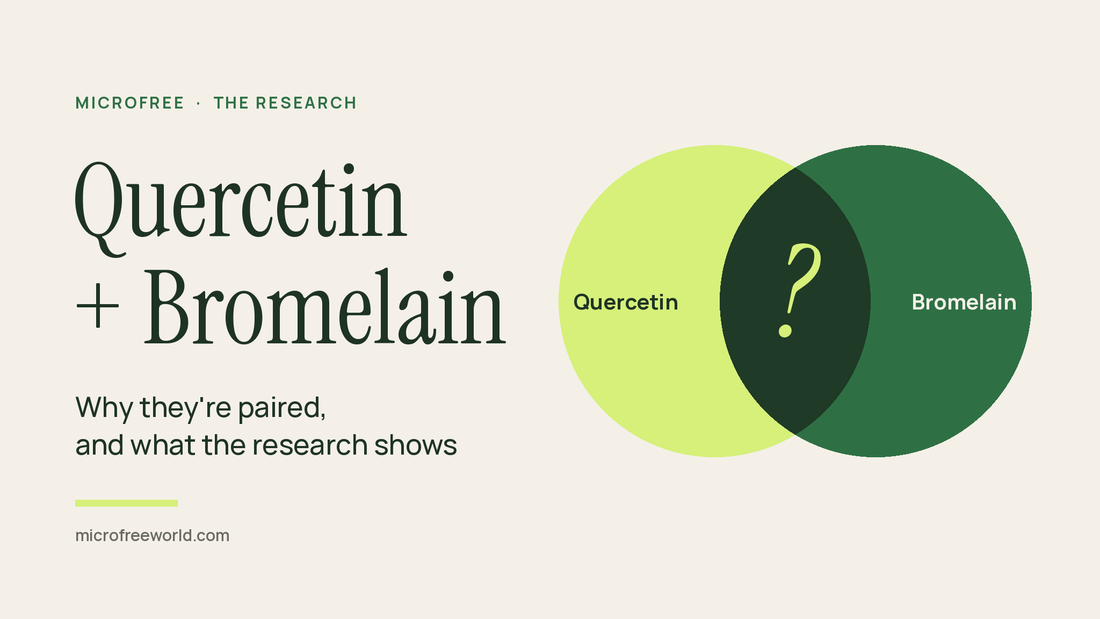 Quercetin and bromelain shown as two overlapping circles with a question mark where they overlap