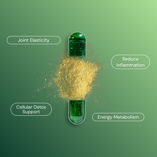 MicroFree Daily Detox